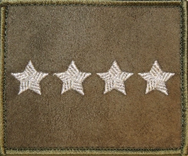 Dystynkcja na kurtkę khaki - starszy chorąży sztabowy