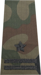 Pochewka na mundur polowy wzór 2010 - major