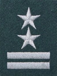 Stopień na beret WP (zielony / h) - podpułkownik