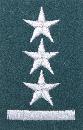 Stopień Wojska Polskiego do beretu zielonego - porucznik