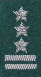 Stopień Wojska Polskiego haftowany bajorkiem do beretu zielonego - pułkownik