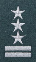 Stopień na beret WP (zielony / h) - pułkownik