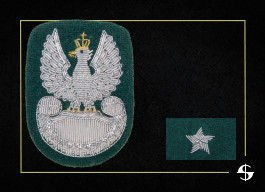 ZESTAW - orzełek i stopień (haftowane bajorkiem) do beretu zielonego Wojska Polskiego