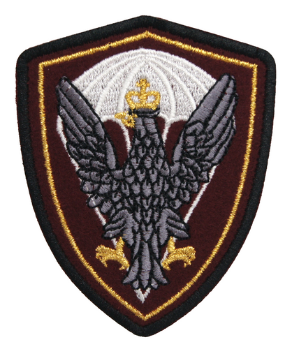 Emblemat Wojska Polskiego "Desant" - wyjściowy