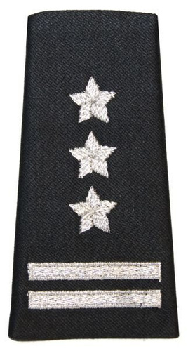 Pochewka na mundur wyjściowy 11 Lubuskiej Dywizji Kawalerii Pancernej - pułkownik