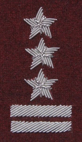 Stopień na beret WP (bordowy / b) - pułkownik