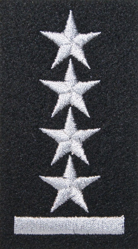 Stopień na beret WP (czarny / h) - kapitan