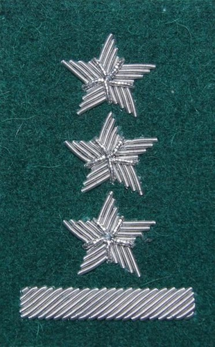 Stopień na beret WP (zielony / b) - porucznik
