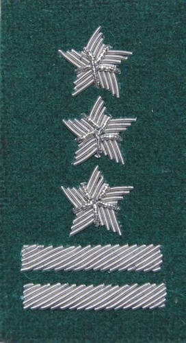 Stopień na beret WP (zielony / b) - pułkownik