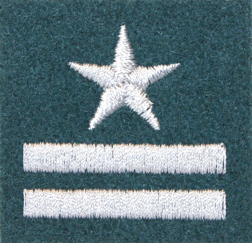 Stopień na beret WP (zielony / h) - major