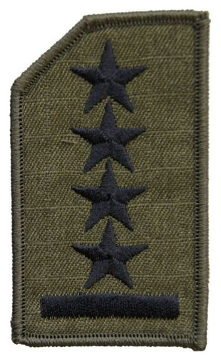 Stopień na czapkę służbową letnią Straży Granicznej - kapitan