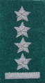 Stopień na beret WP (zielony / b) - kapitan